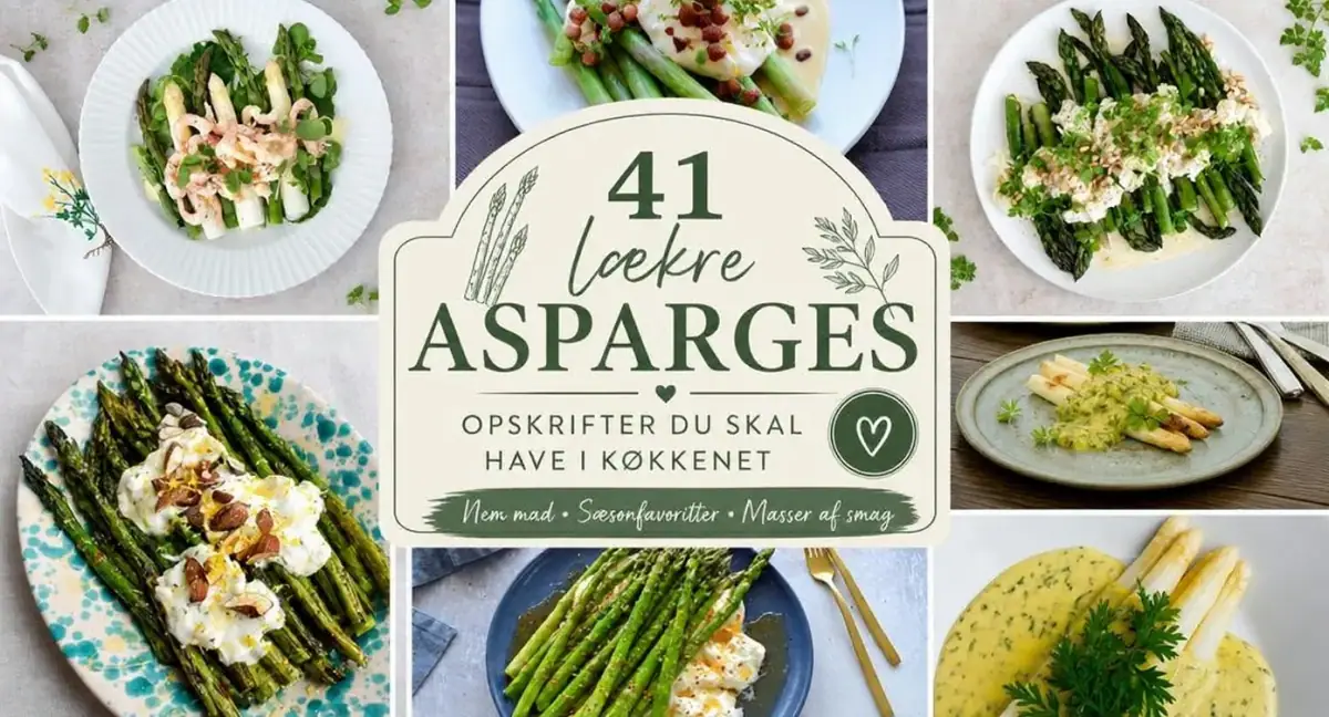 41 lækre aspargesopskrifter du skal have i køkkenet