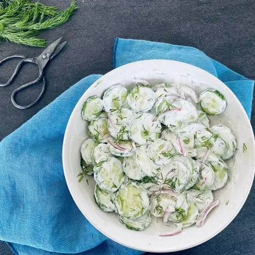 Agurkesalat med dilddressing