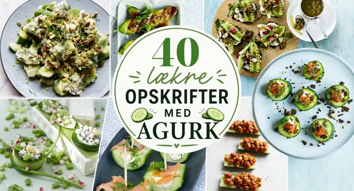40 lækre opskrifter med agurk