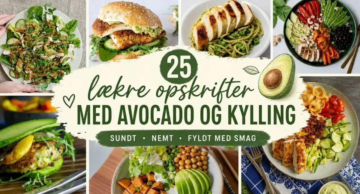 25 lækre opskrifter med avocado og kylling