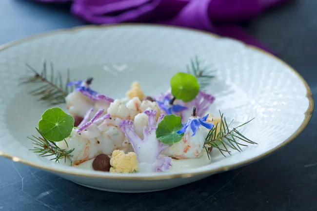 Jomfruhummer med blomkål