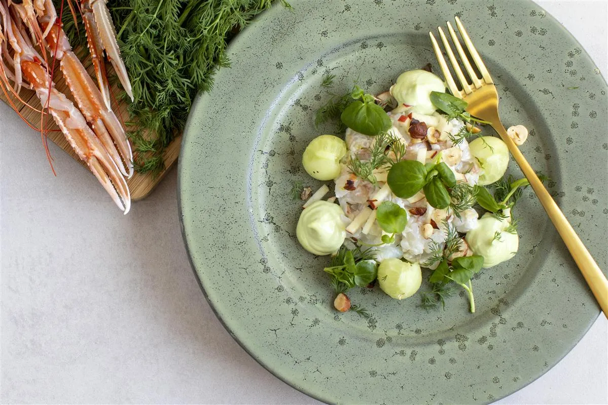 Ceviche af jomfruhummer