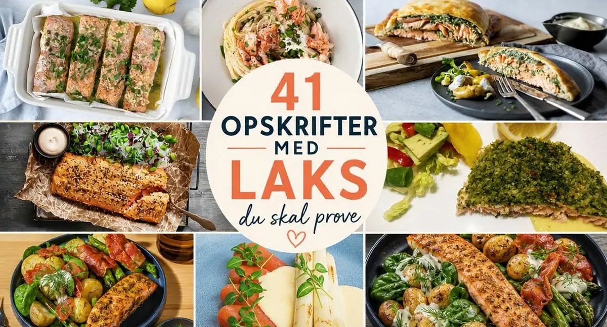 41 lækre opskrifter med laks