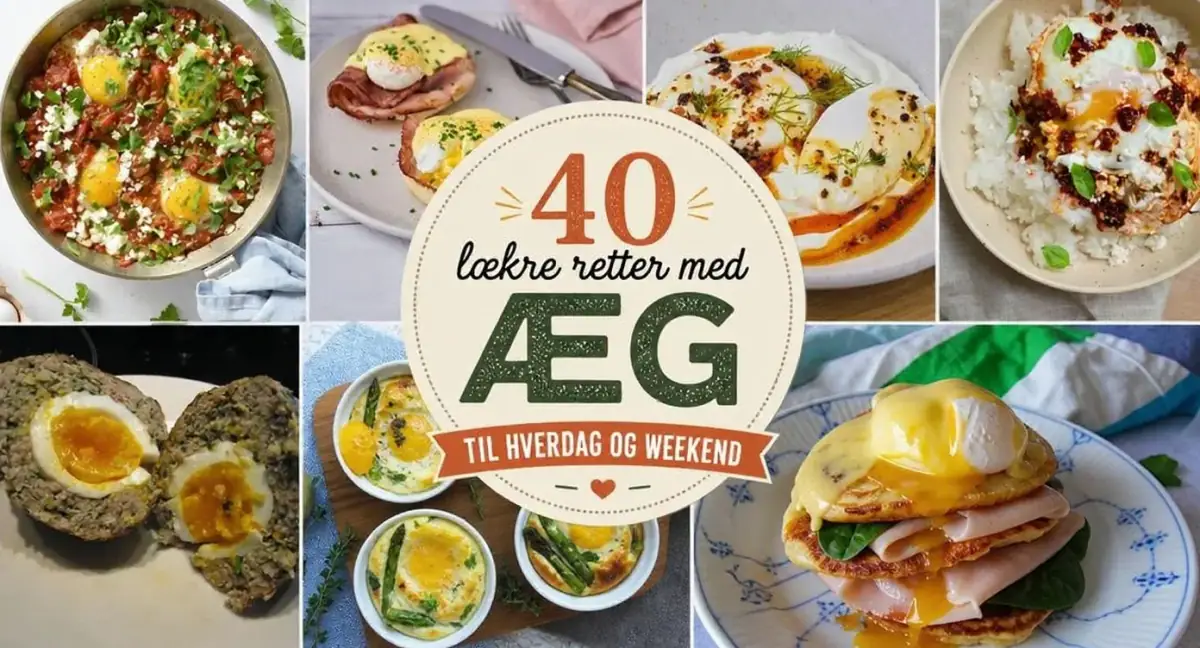 40 lækre retter med æg til hverdag og weekend